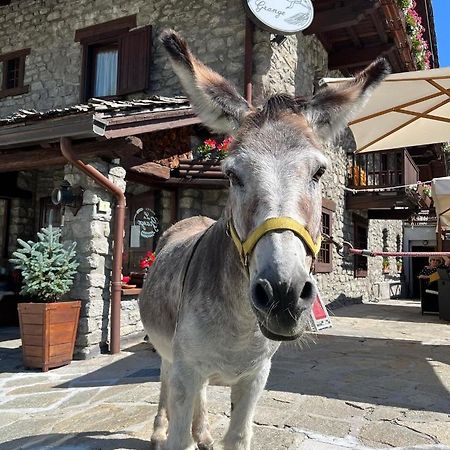 Hotel La Grange - Animal Chic Hotel Courmayeur Exterior foto