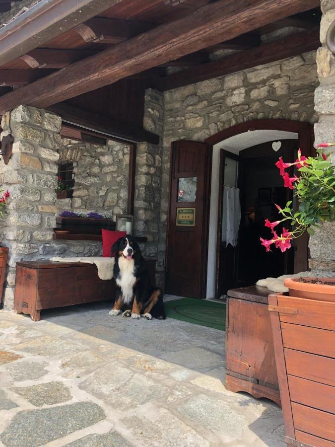 Hotel La Grange - Animal Chic Hotel Courmayeur Exterior foto