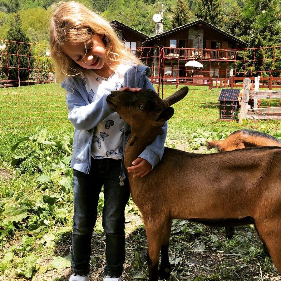 Hotel La Grange - Animal Chic Hotel Courmayeur Exterior foto