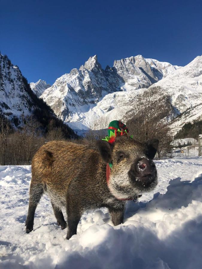 Hotel La Grange - Animal Chic Hotel Courmayeur Exterior foto