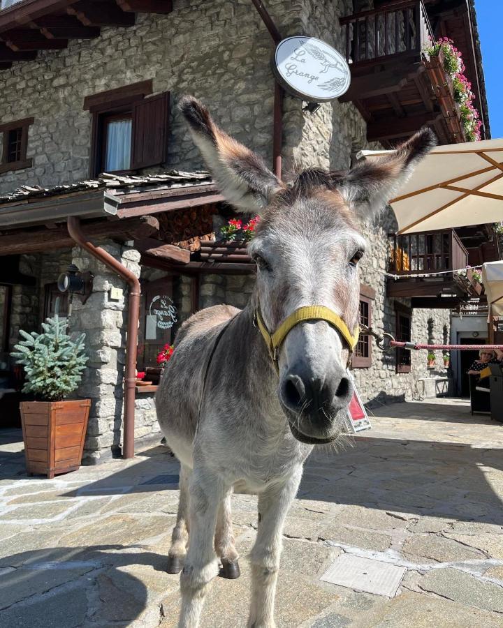 Hotel La Grange - Animal Chic Hotel Courmayeur Exterior foto