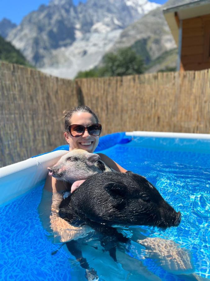 Hotel La Grange - Animal Chic Hotel Courmayeur Exterior foto